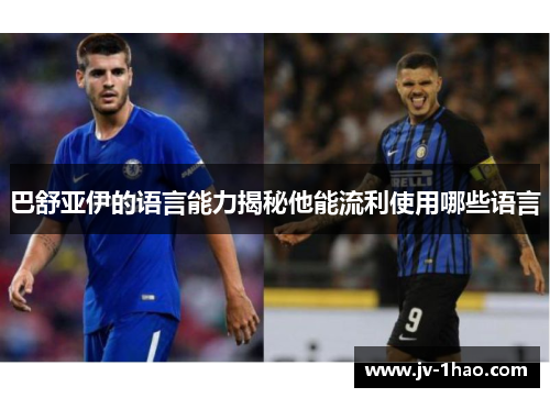 巴舒亚伊的语言能力揭秘他能流利使用哪些语言