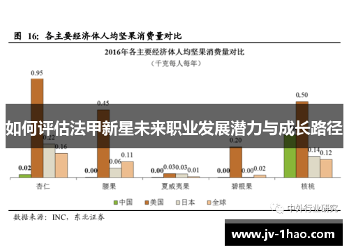 如何评估法甲新星未来职业发展潜力与成长路径