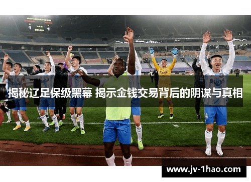 揭秘辽足保级黑幕 揭示金钱交易背后的阴谋与真相